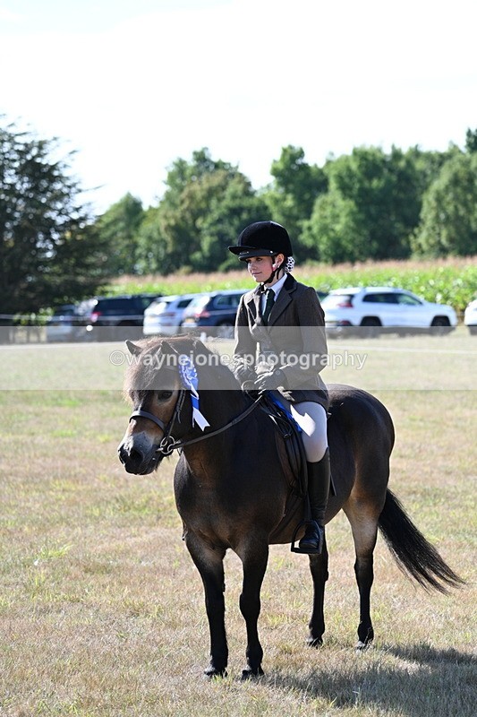 WJ7_3214 - Class 8 Ridden Tack & Turnout