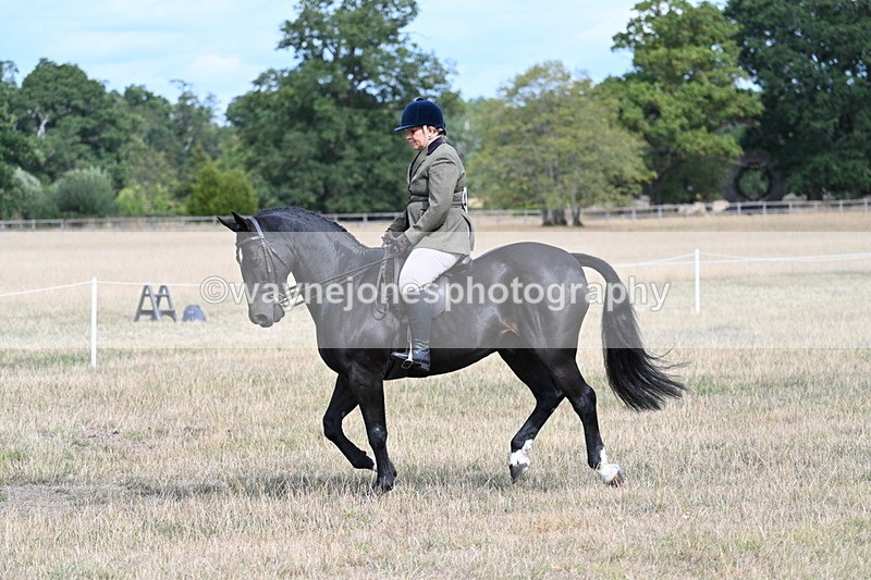WJ7_6148 - Class 13 Ridden Veterans