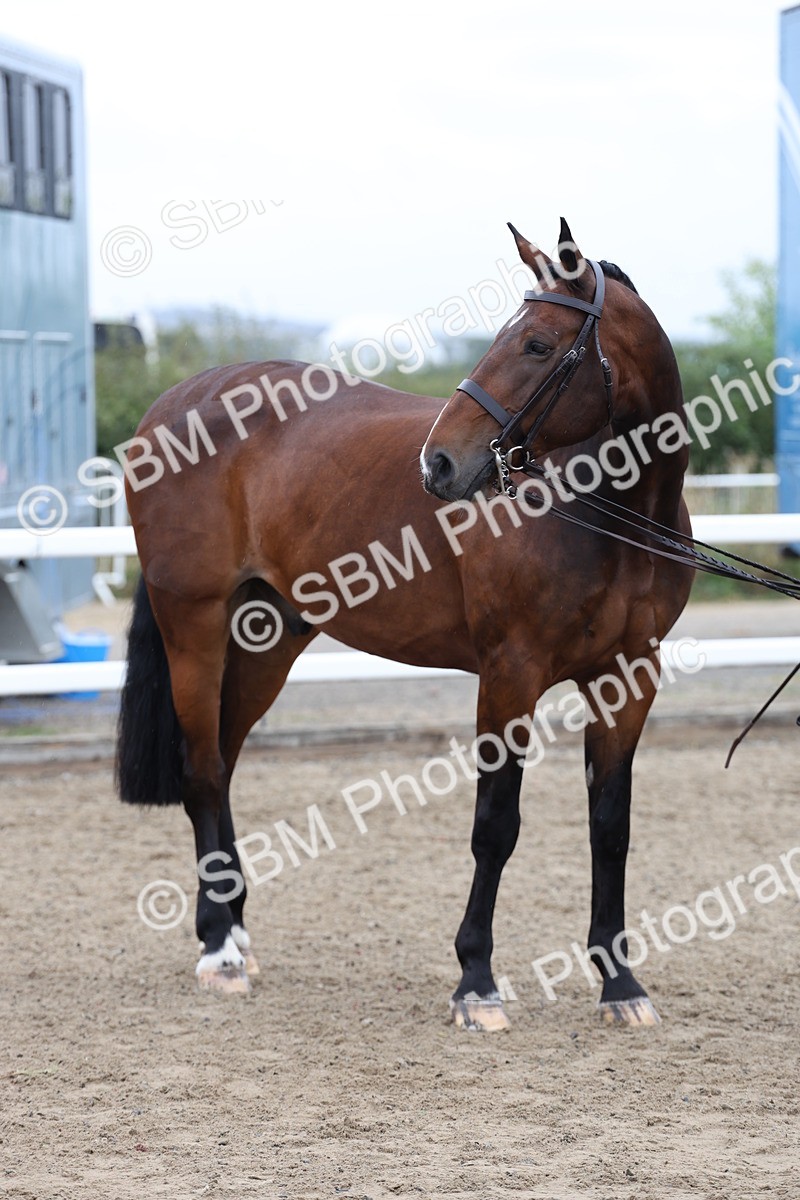 SBM_00081 - Class 50 - Best Turned Out IH