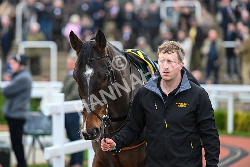 161124-Race 2-Paddock-Jimmy The Digger-9309 - Race 2