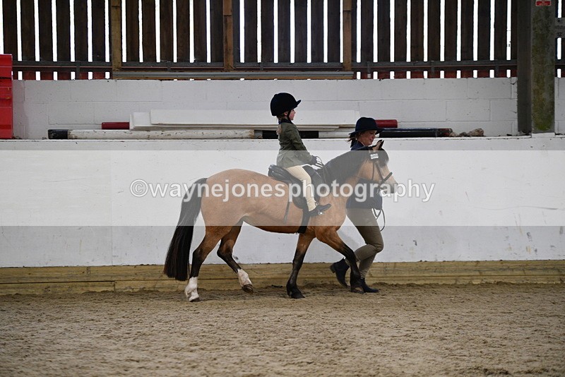 WJ5_6702 - Class 10 Childs Pony