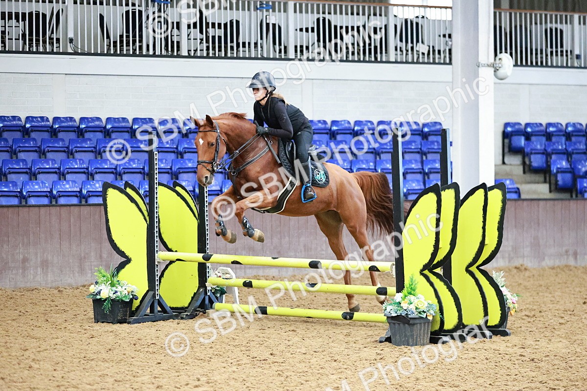 SBM_000183 - Class 1 - Clear Round Show Jumping 80cm