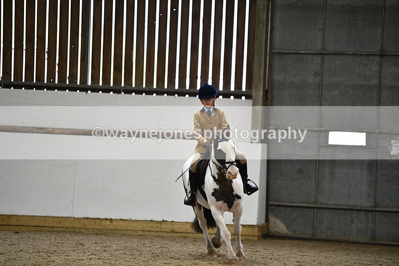 WJ5_7331 - Class 11 Ridden PC - RC Pony