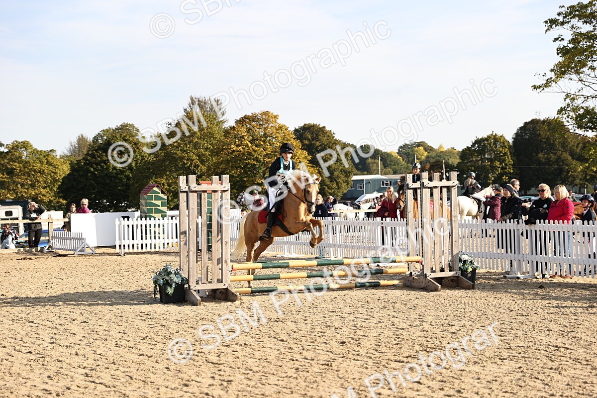 SBM_59577 - J11 - Junior Pony 50cm Championship