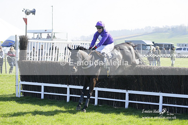 PtP 190322 313 - Wilton Hunt PtP Milborne St Andrew 19/03/22