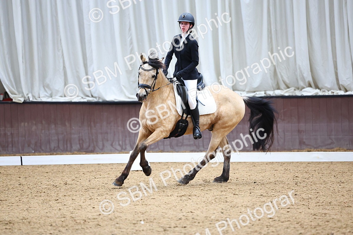 SBM_005446 - Elementary 2