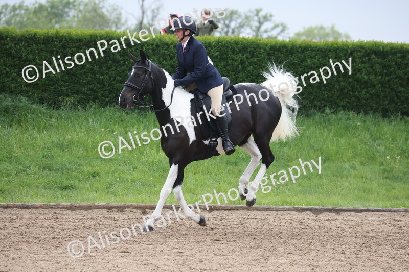 20260504-1053 - Class 14 - Cob and Hunter