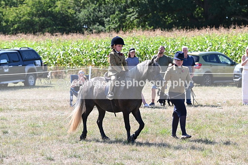 WJ6_7963 - Class 36 Lead Rein