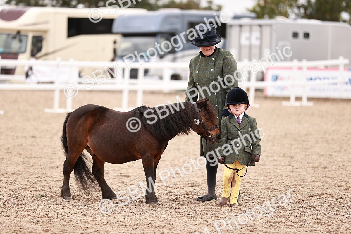 SBM_18579 - Class 421 - Childs Best Friend - Jnr