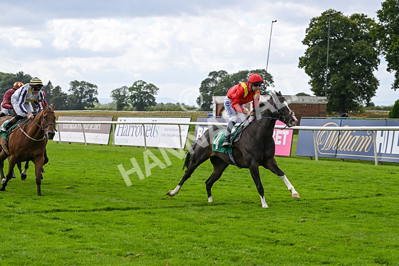 090824-Race 4-Law Of Average-4688 - Race 4