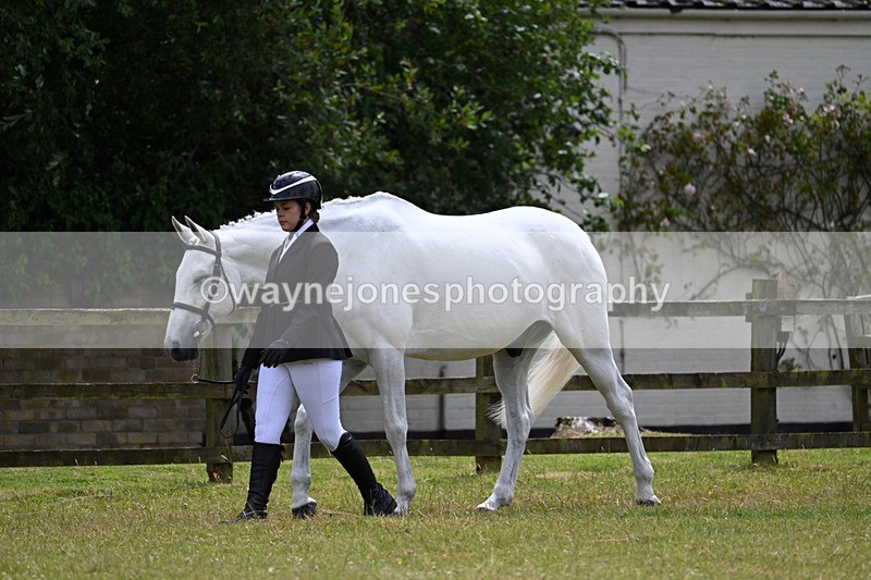 WJ7_6825 - Class 5a Most Handsome Gelding in Hand