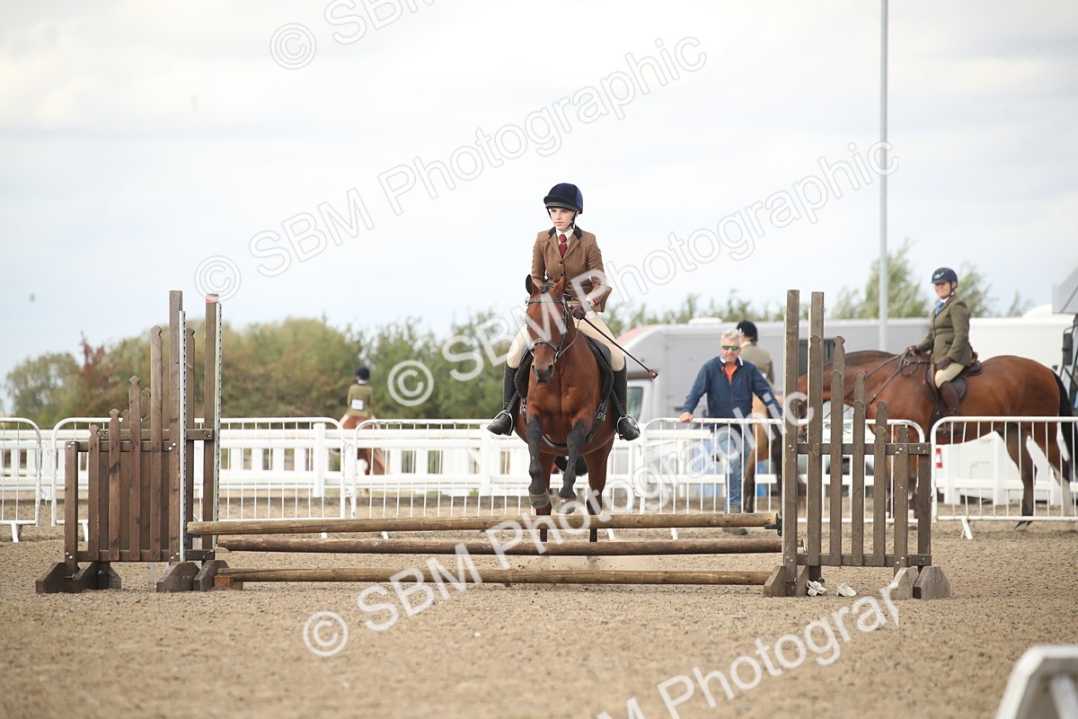 SBM_15288 - Class 506b - Working Veteran - 50cm (20+)