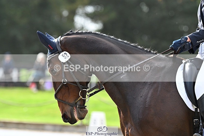 231019-142327-04160 - 052-SHANNONDALE.COURAGE-Georgina.Beeby.Wynn-DR