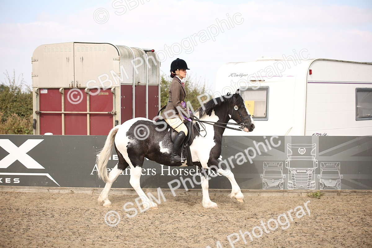 SBM_15086 - Class 408a - Working Veteran 70cm (15-19