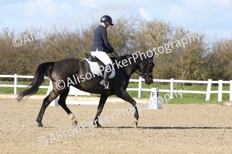 20260314-4960 - CT6 - Elementary 1