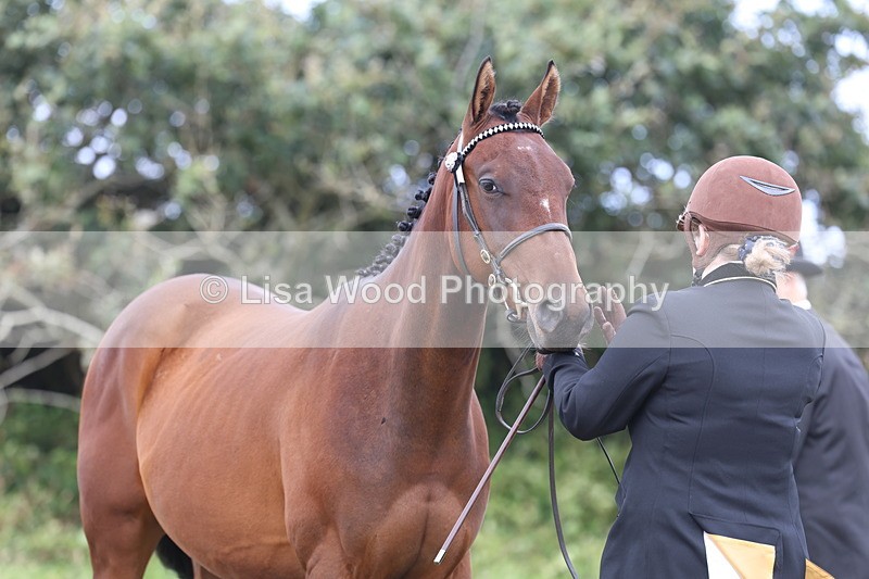 3E7A4158 - Class 15: Two Year Olds