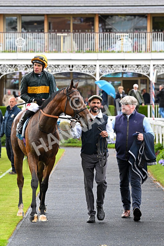 130526-Race 1-Cut A Dash-2036 - Race 1 1.45pm British Stallion Studs EBF Novice Stakes