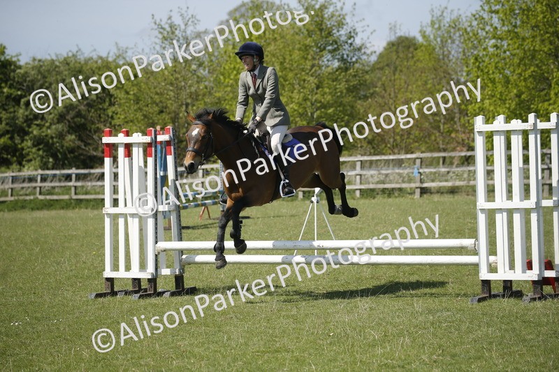 20250427-2271 - Class 13 - Novice Jumping 60cm