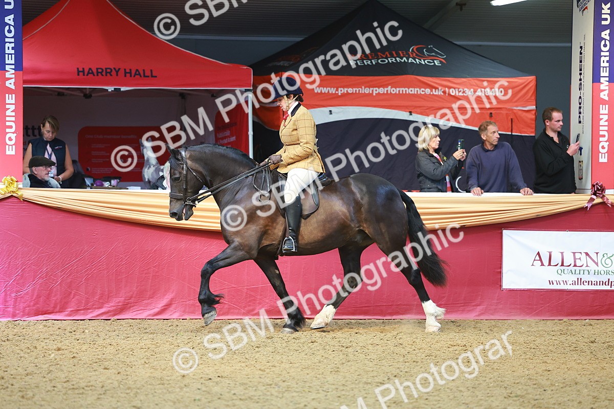 SBM_10680 - Class 103 - HOYS Veteran Qualifier - Ridden Pre Vet