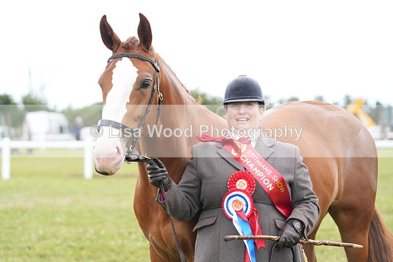 DSC06446 - Hunter/Riding Horse/Hack In Hand Championship