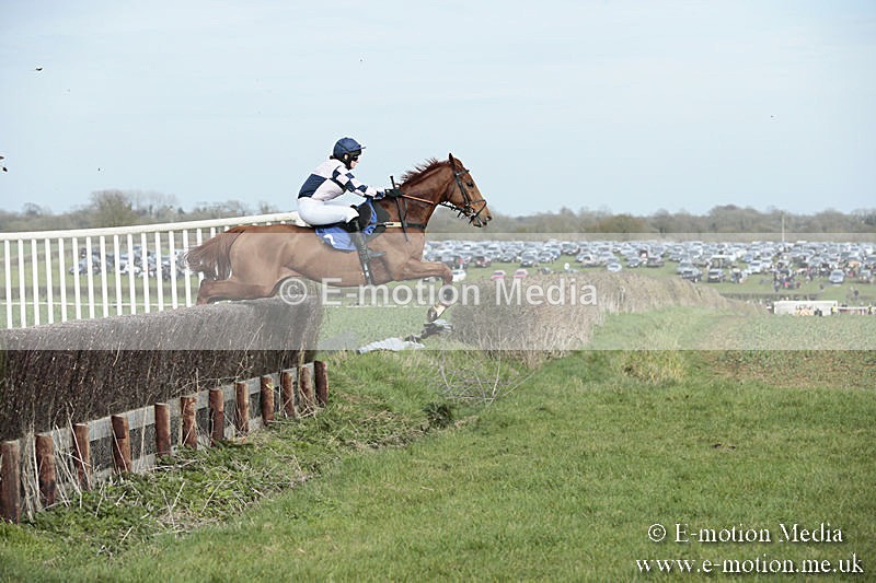 PtP 230319 351 - VWH Hunt Siddington Point-to-Point Racing 23/03/19