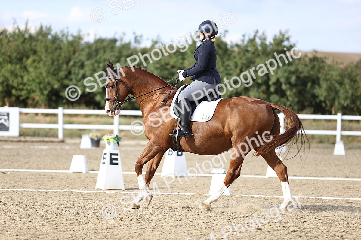 SBM_016051 - Class 5 - E5 Bronze  16.18.17.22