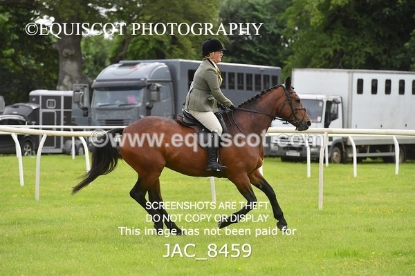 JAC_8459 - CLASS 2 BHS 1.05M SCONE QUALIFIER