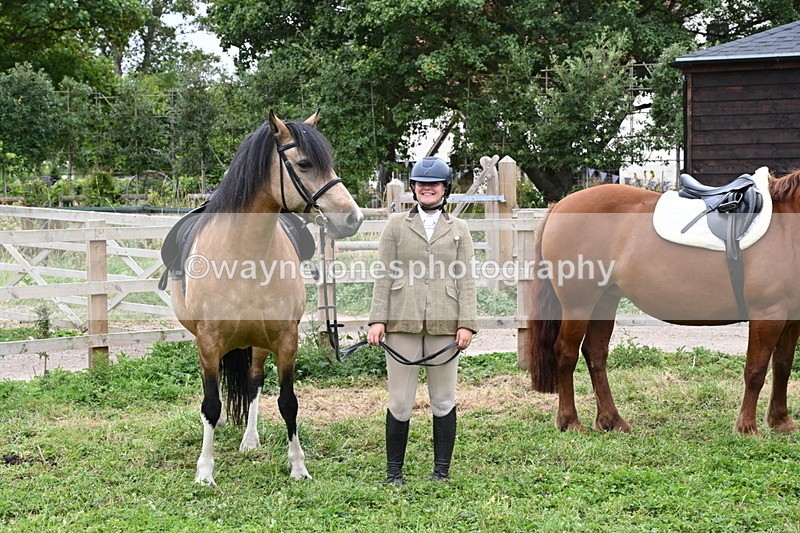 WJ6_2872 - Berks & Bucks - The Old farmhouse - Hound Exercise 20-08-25