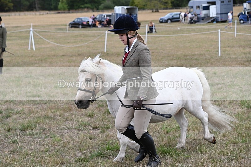 WJ6_6134 - Class 19 In-hand Veterans (Uploaded correct folder)