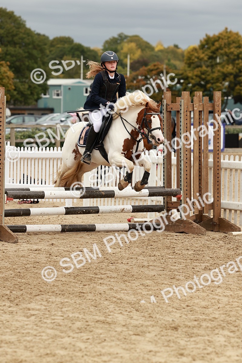 SBM_67005 - J13 - Junior Pony 60cm Championship