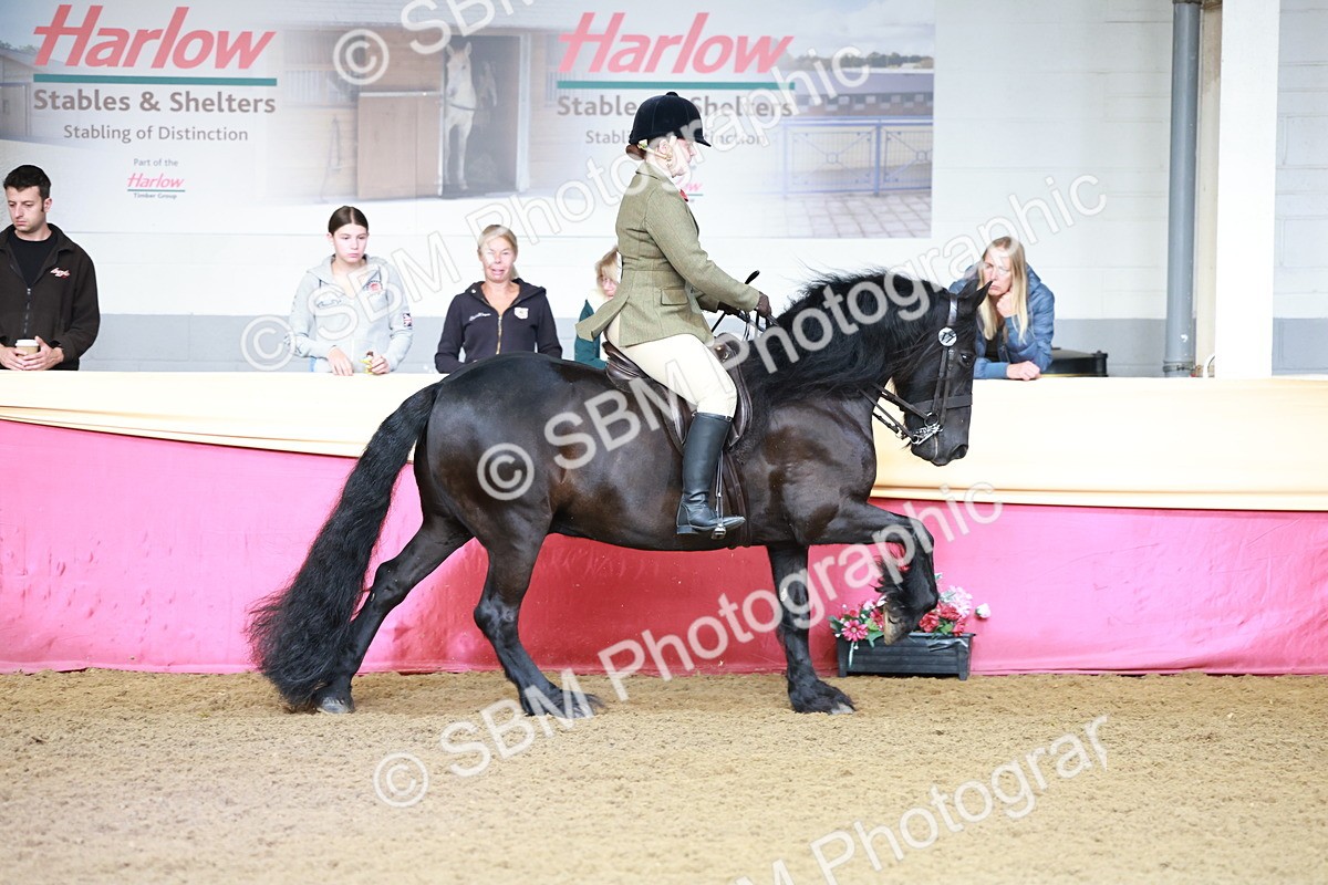 SBM_11875 - Class 102 - Equitation (Best Rider) Adult