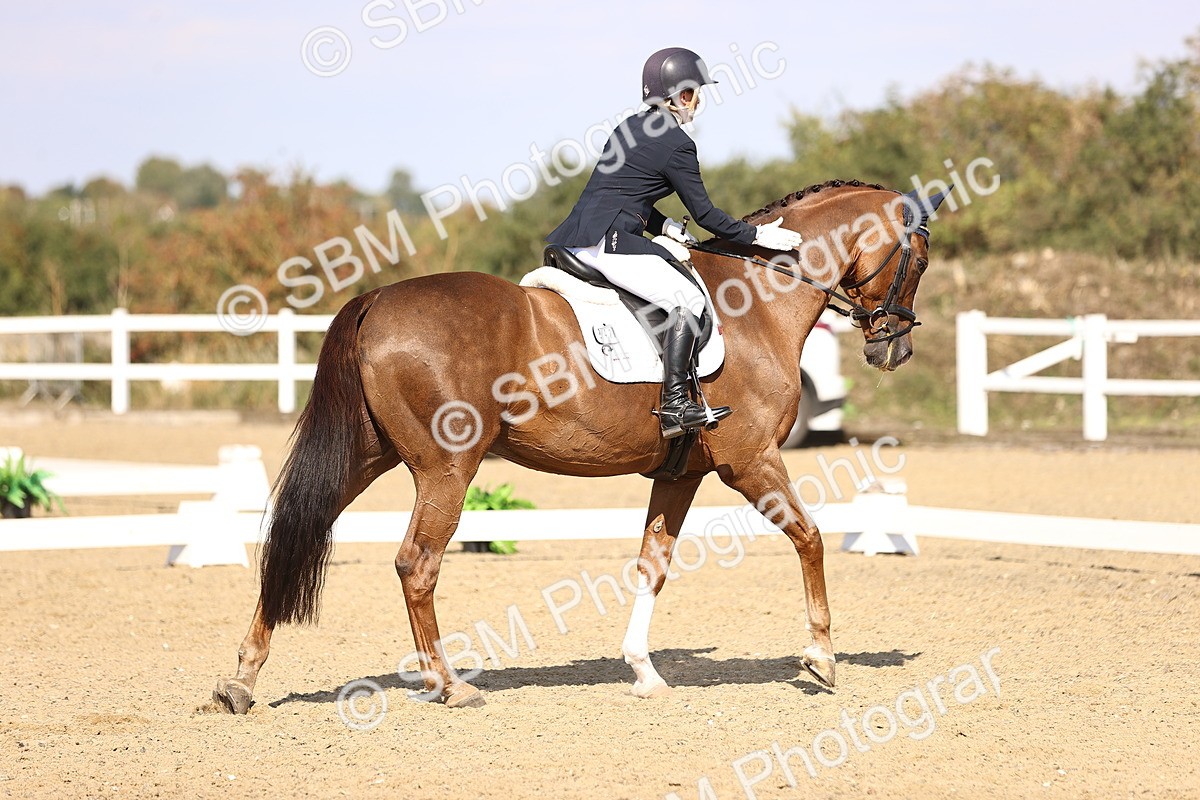 SBM_015261 - Class 8 - Medium 5