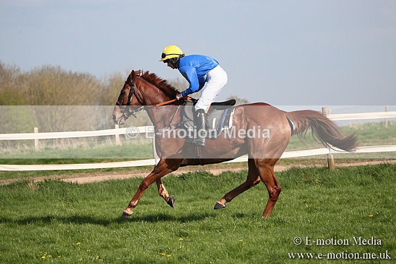 PtP 210418 472 - South & West Wilts Point-to-Point Larkhill 21/04/18