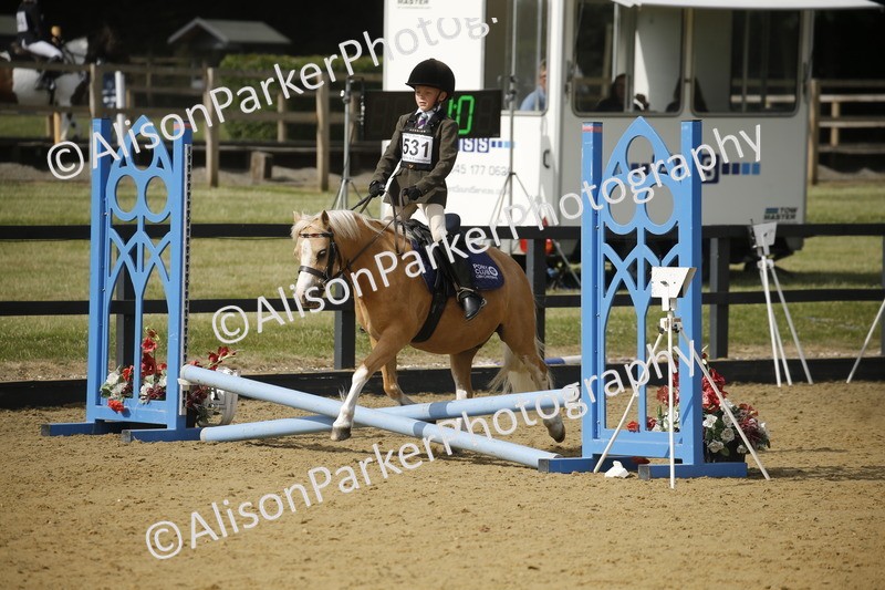 20250622-1537 - 40cm