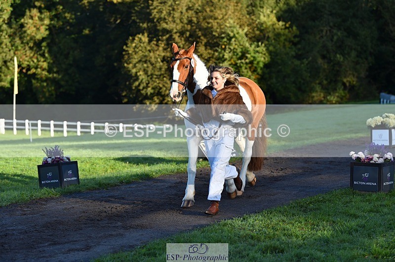 231022-090010-21499 - 638-I.FOUND.NEMO-Jacky.Jones-TrotUp+SJ