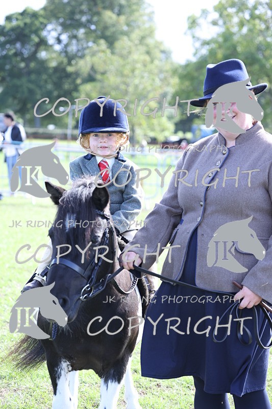 APP_3948 - Class 13 Lead rein