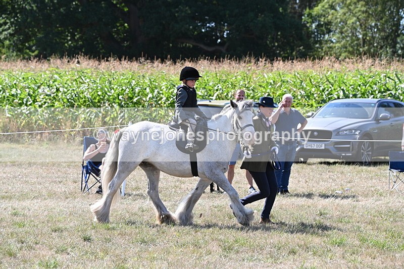 WJ6_7916 - Class 36 Lead Rein