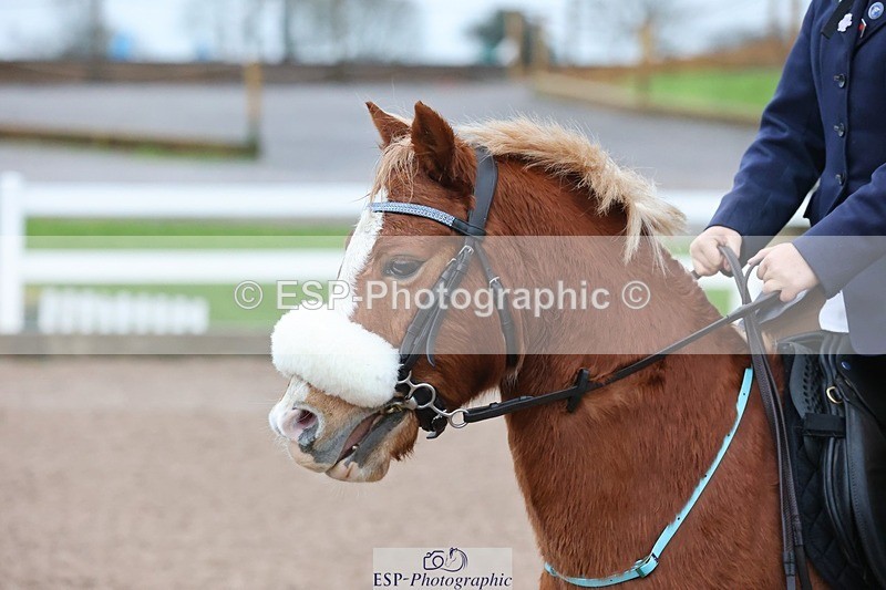 241201X-090520-00012 - Cls 01 10 YO & Under