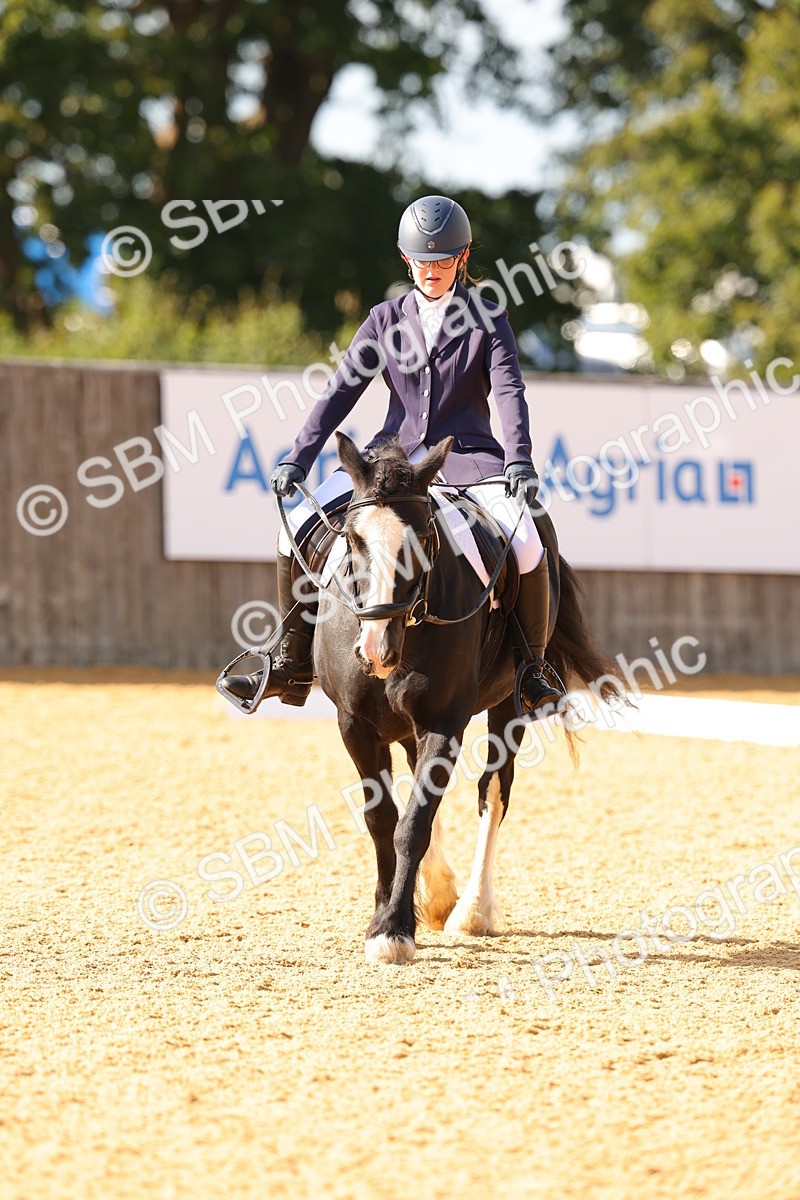 SBM_48402 - D22 - Junior Championship - Intro B