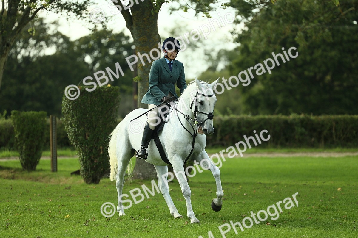SBM_50674 - S33 - Working Hunter & Working Show Horse