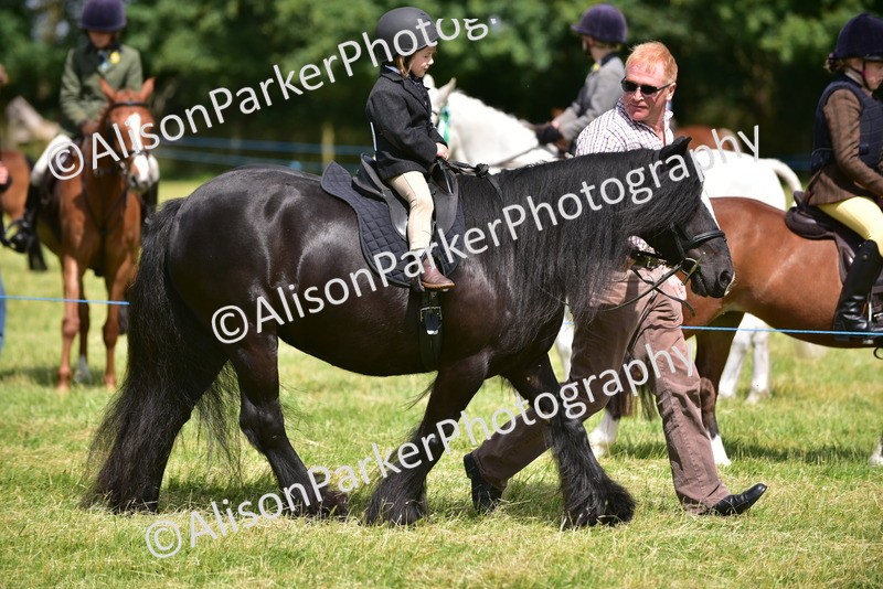 20260614-1194 - Class 11a - Lead Rein Pony (Unplaited)