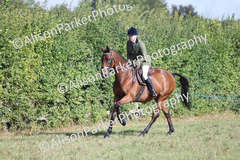 20250831-0852 - Class 14 - Ex Racehorse