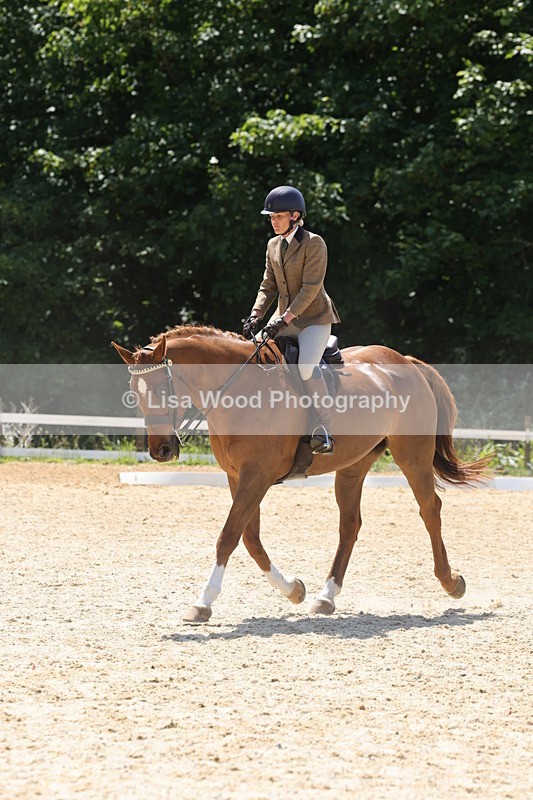 1X9A1881 - Class 12: Ridden Riding Horse/Hack