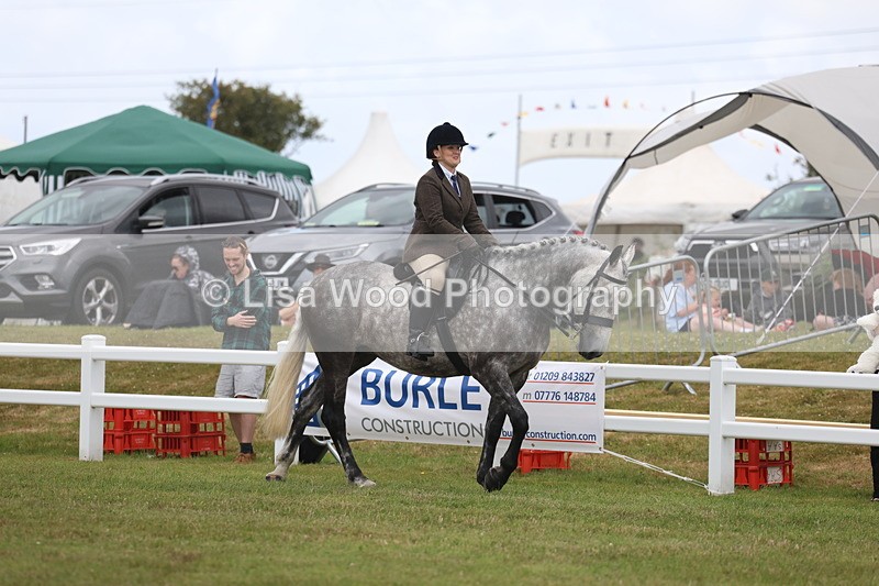 3E7A1355 - Class 9: Open Hunter