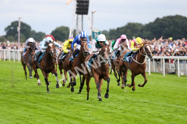 280723-Race 5-Midnight Mile-2919 - Race 5 7.15pm British EBF 40th Anniversary Lyric Fillies' Stakes