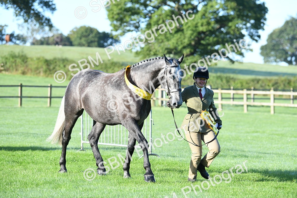 SBM_32858 - S15 - Condition & Turnout In Hand