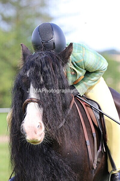 SIAL6890 - championships