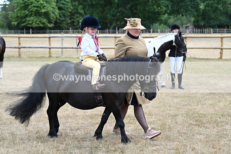 WJ7_8462 - Class 4 Prettiest Mare up to 14.2hh