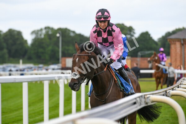 yr11062022r2-28 - Race 2 2.00pm Queen Mother's Cup