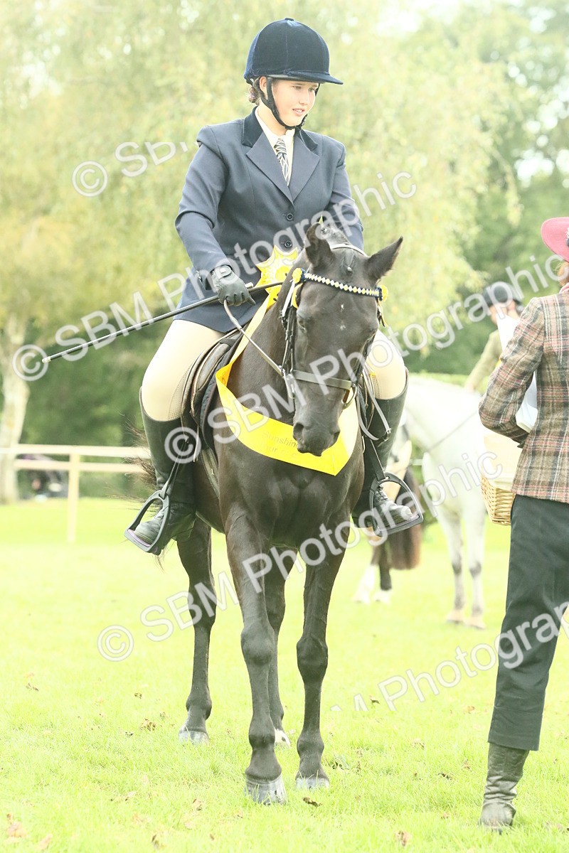 SBM_74135 - S 61 - Show Pony & Show Hunter Pony Ridden